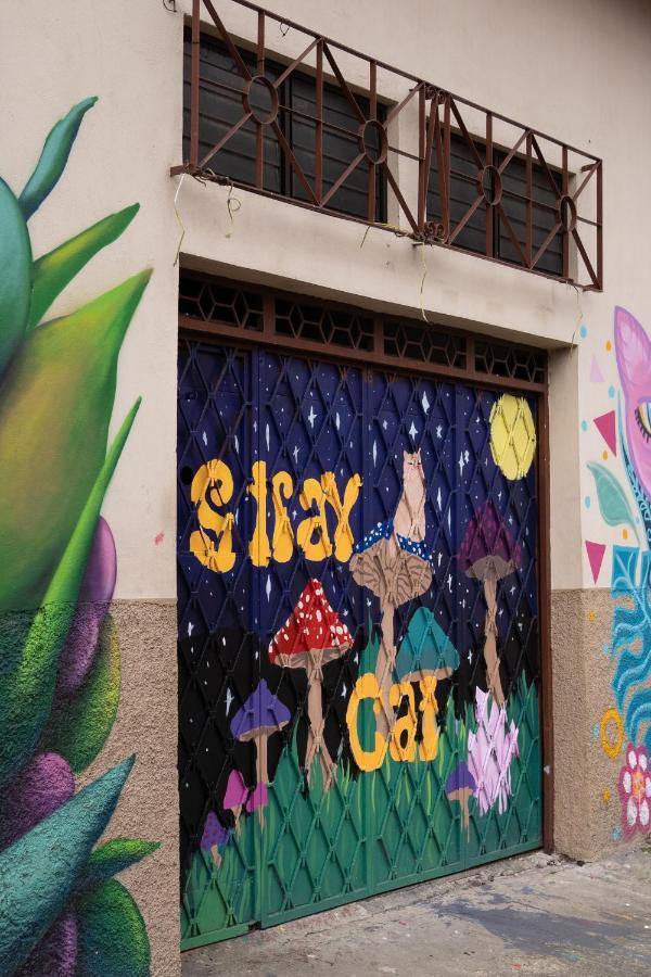 Stray Cat Hostel San José Exterior foto